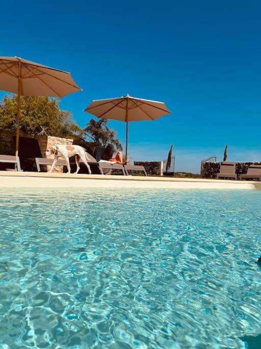Dome Insolite Cedre Jacuzzi Et Petits Dejeuners Inclus Lagraulet-du-Gers Esterno foto