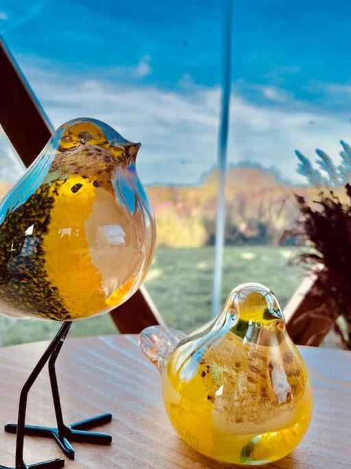 Dome Insolite Cedre Jacuzzi Et Petits Dejeuners Inclus Lagraulet-du-Gers Esterno foto