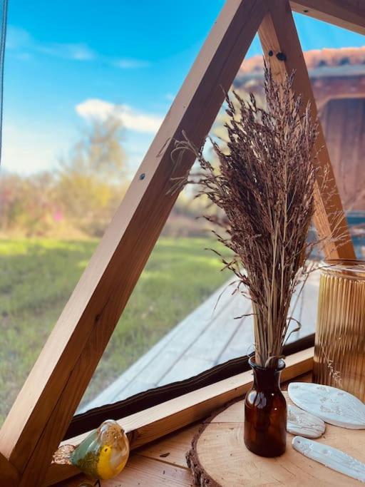 Dome Insolite Cedre Jacuzzi Et Petits Dejeuners Inclus Lagraulet-du-Gers Esterno foto