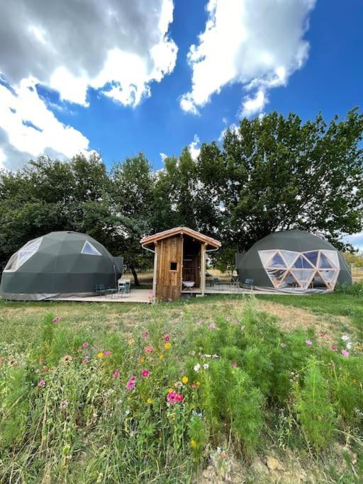 Dome Insolite Cedre Jacuzzi Et Petits Dejeuners Inclus Lagraulet-du-Gers Esterno foto